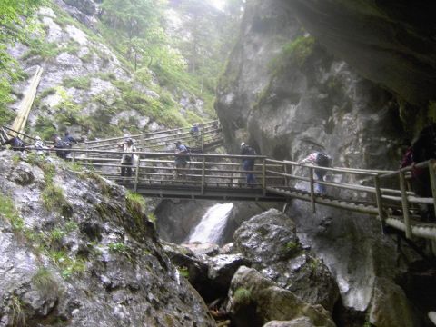 Medvědí